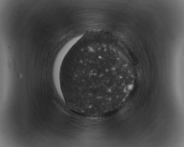 X0000084580745200703231843