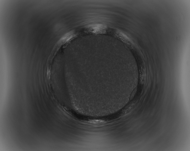 X0000084580748200703231843