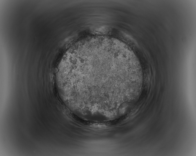 X0000084580749200703231843