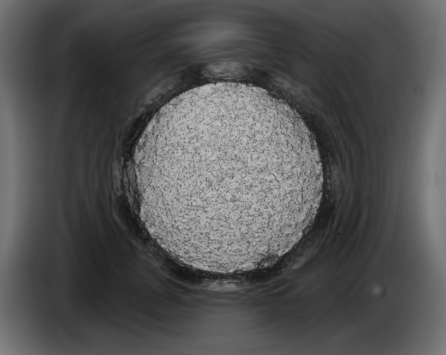 X0000084580751200703231843