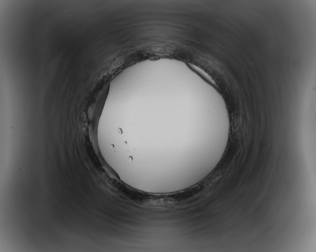 X0000084580752200703231843