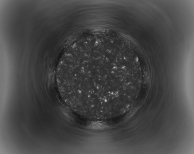 X0000084580753200703231843