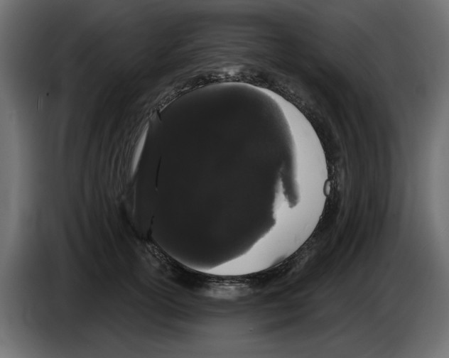 X0000084580754200703231843
