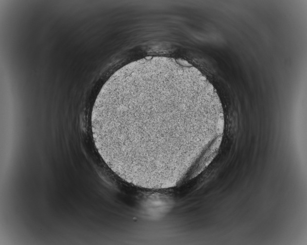 X0000084580755200703231843