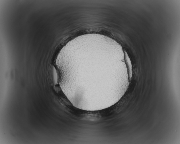 X0000084580756200703231843