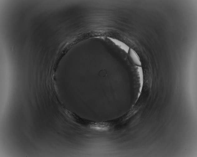 X0000084580758200703231843