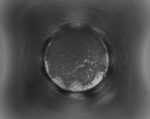 X0000084580759200703231843