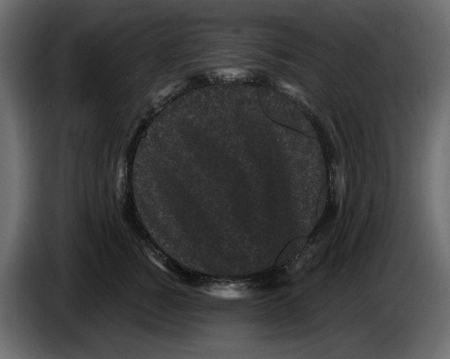X0000084580760200703231843