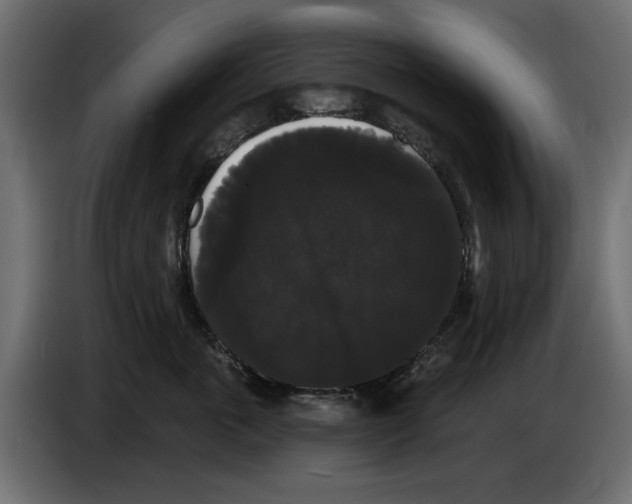 X0000084580763200703231843