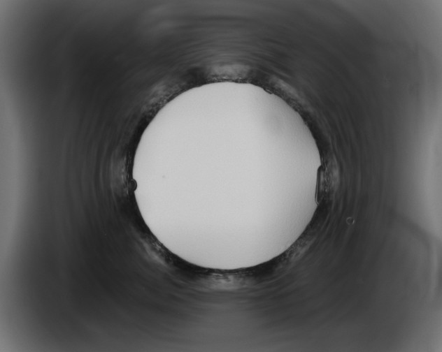 X0000084580764200703231843