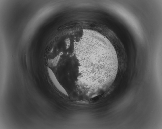 X0000084580765200703231843