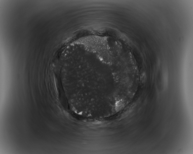 X0000084580772200703231842