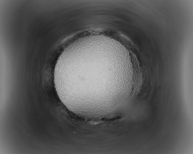 X0000084580773200703231842