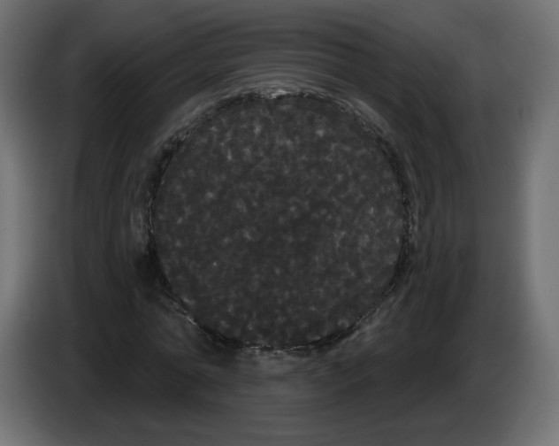 X0000084580774200703231842