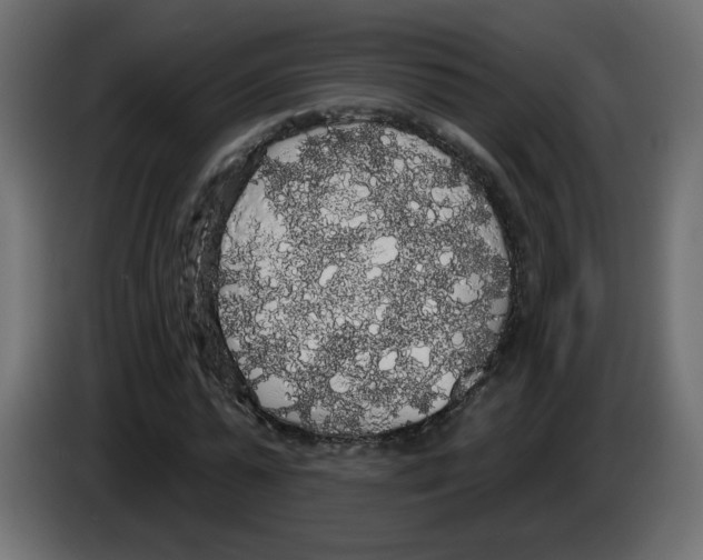 X0000084580775200703231842