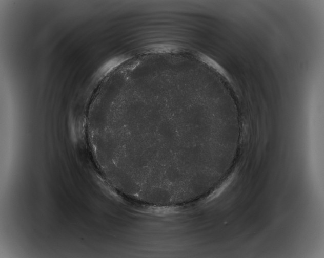 X0000084580778200703231842