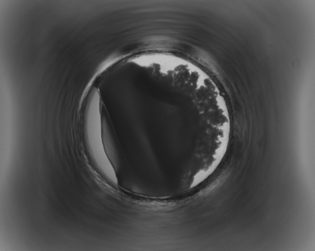 X0000084580779200703231842