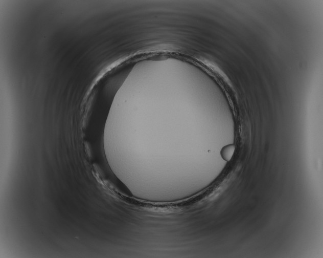 X0000084580781200703231842