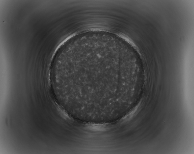 X0000084580782200703231842