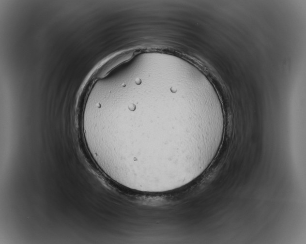 X0000084580784200703231842