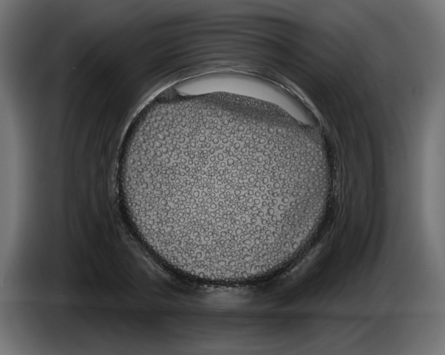X0000084580786200703231842