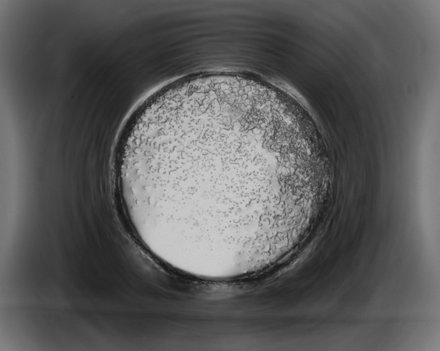 X0000084580787200703231842