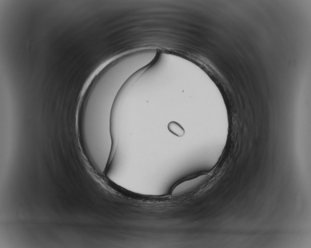X0000084580788200703231842