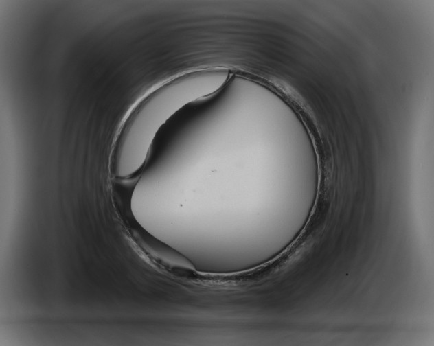 X0000084580789200703231842
