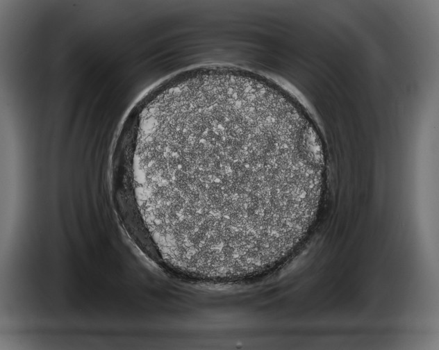 X0000084580791200703231842