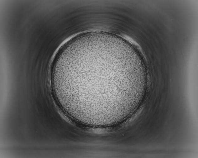 X0000084580792200703231842