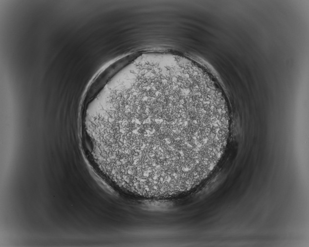 X0000084580795200703231842
