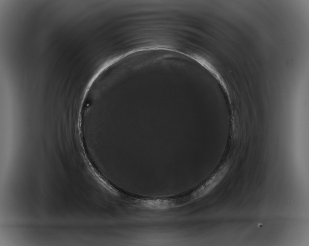 X0000084580797200703231842