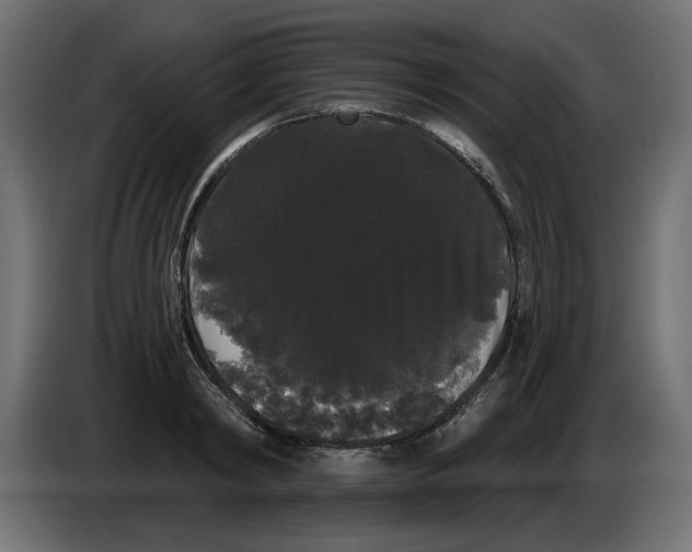 X0000084580798200703231842