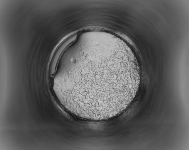 X0000084580799200703231842