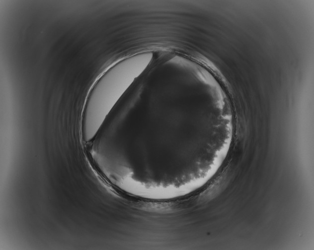 X0000084580802200703231842