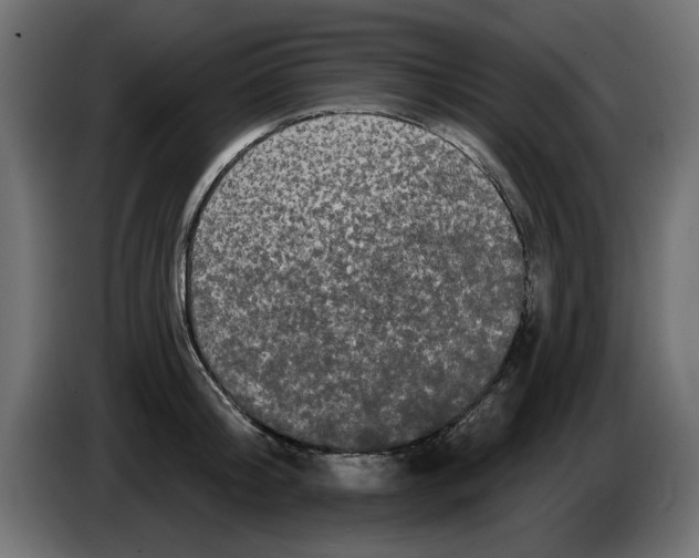 X0000084580804200703231842