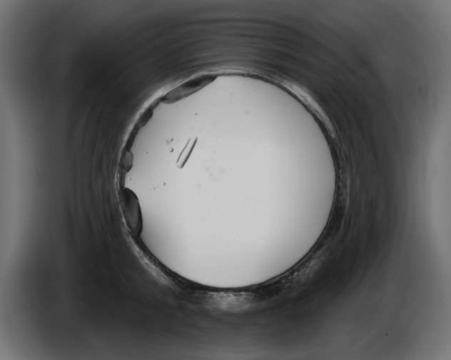 X0000084580805200703231842