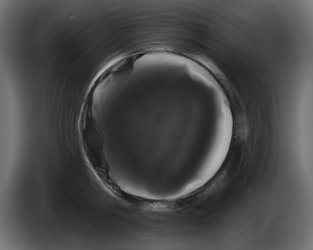 X0000084580806200703231842