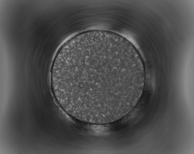 X0000084580807200703231842