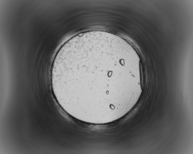 X0000084580808200703231842