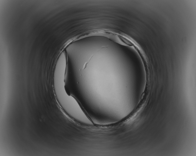 X0000084580809200703231842