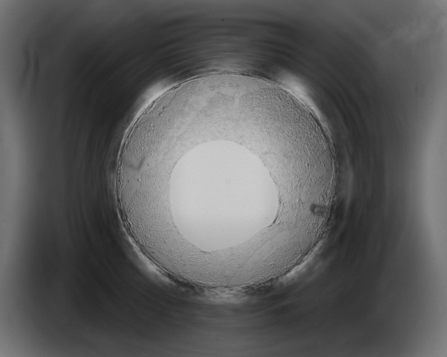 X0000084580810200703231842