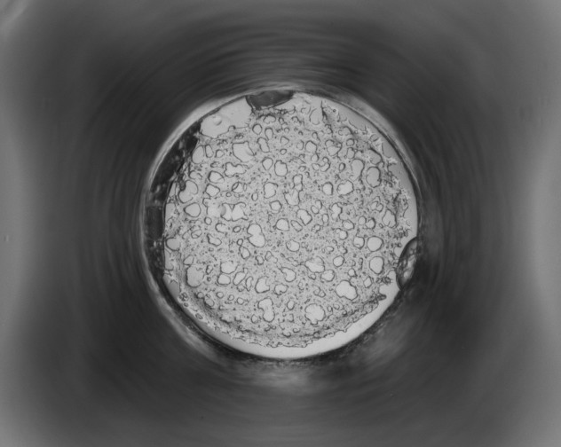 X0000084580811200703231842