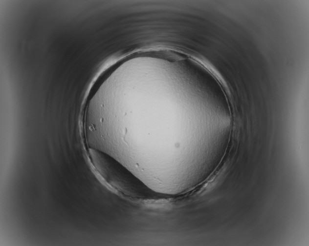 X0000084580813200703231842