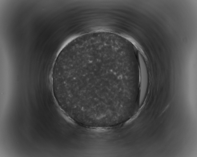 X0000084580814200703231842