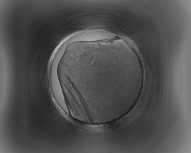 X0000084580816200703231842