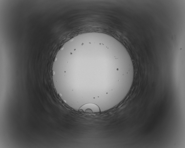 X0000084580820200703231841
