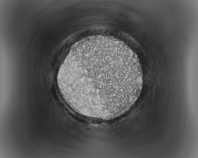 X0000084580821200703231841