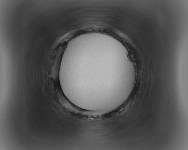 X0000084580822200703231841