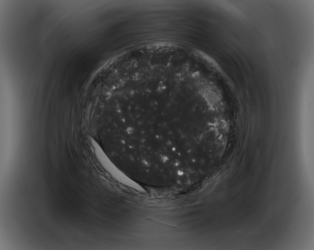 X0000084580823200703231841